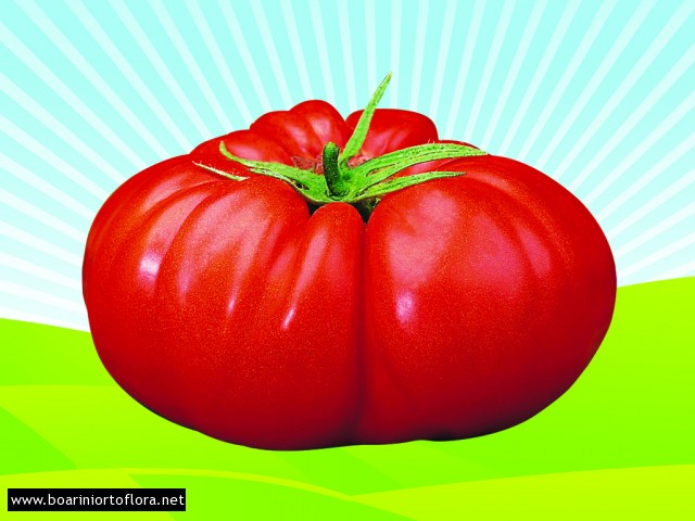 Pomodoro Bistecca
