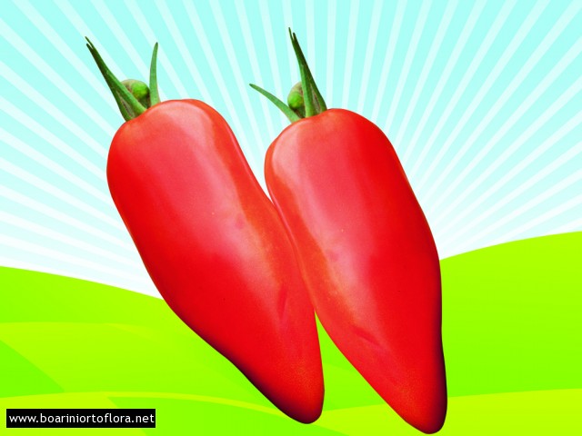 Pomodoro Banana