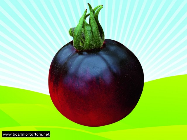 Pomodoro Particolare Nero