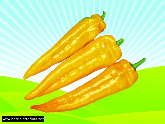 Peperone Innestato Corno Giallo
