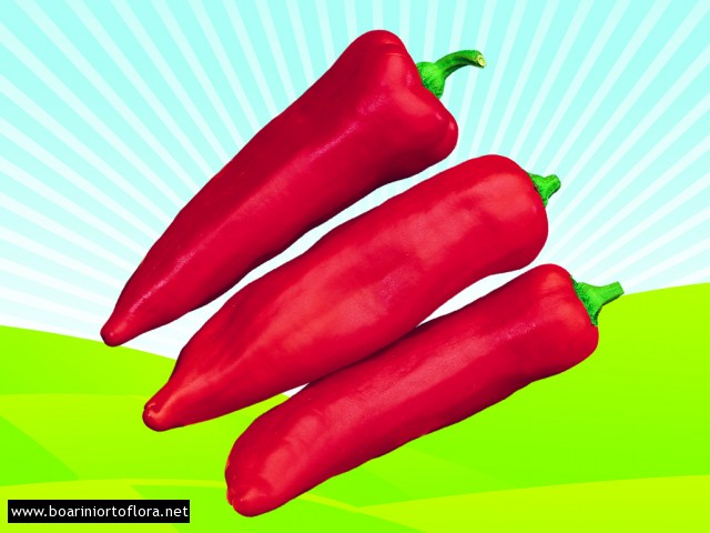 Peperone Innestato Corno Rosso