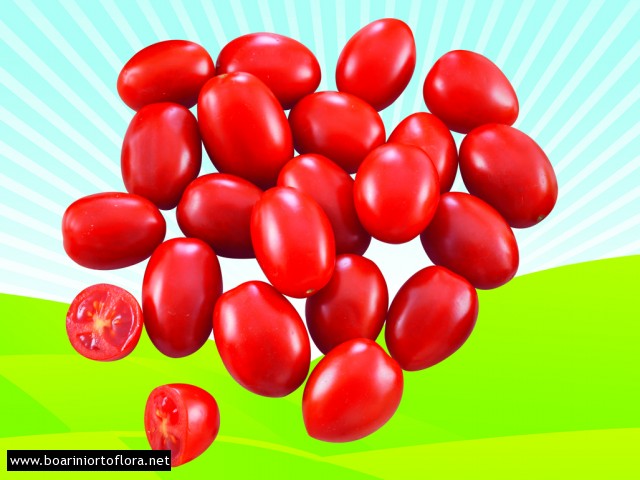 Pomodoro Innestato Datterino