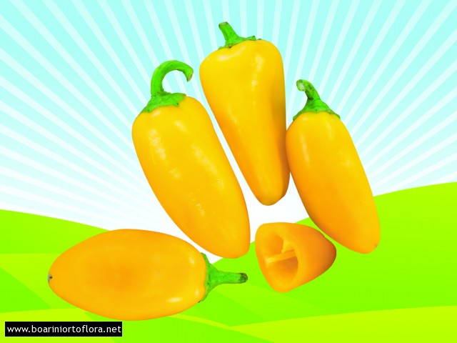 Peperone Dolce Mini Snack Giallo