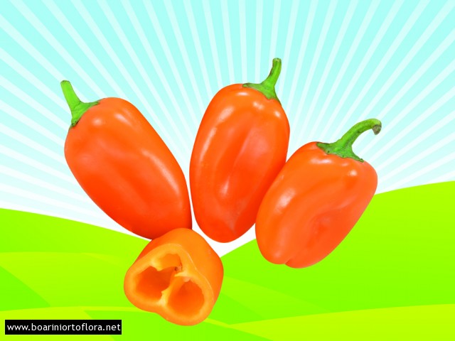 Peperone Dolce Mini Snack Arancio