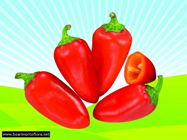 Peperone Mini Snack Rosso