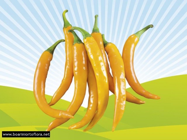 Peperone Piccante HOT LEMON